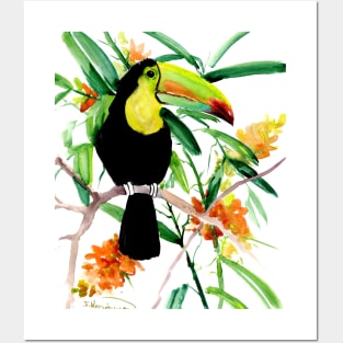 Toucan in Jungle Posters and Art